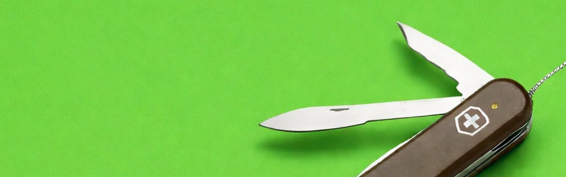 Online-Ads: Vielseitig wie ein Schweizer Taschenmesser – aber kein Selbstläufer